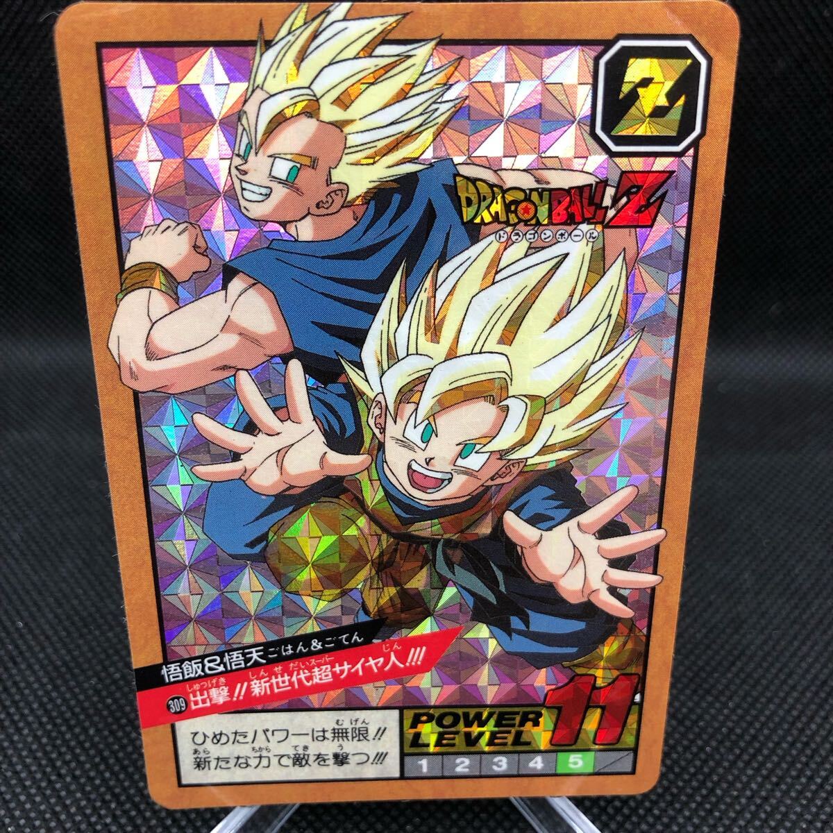 ドラゴンボールZ カードダス 309出撃 新世代超サイヤ人 悟飯&悟 ドラゴンボールZ カードダス 309出撃 新世代超サイヤ人 悟飯&悟