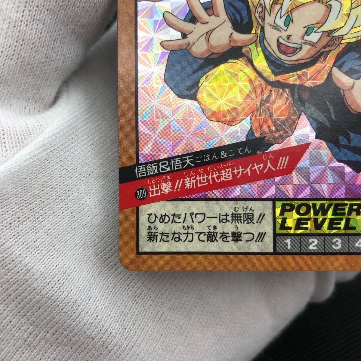 ドラゴンボールZ カードダス 309出撃 新世代超サイヤ人 悟飯&悟 ドラゴンボールZ カードダス 309出撃 新世代超サイヤ人 悟飯&悟
