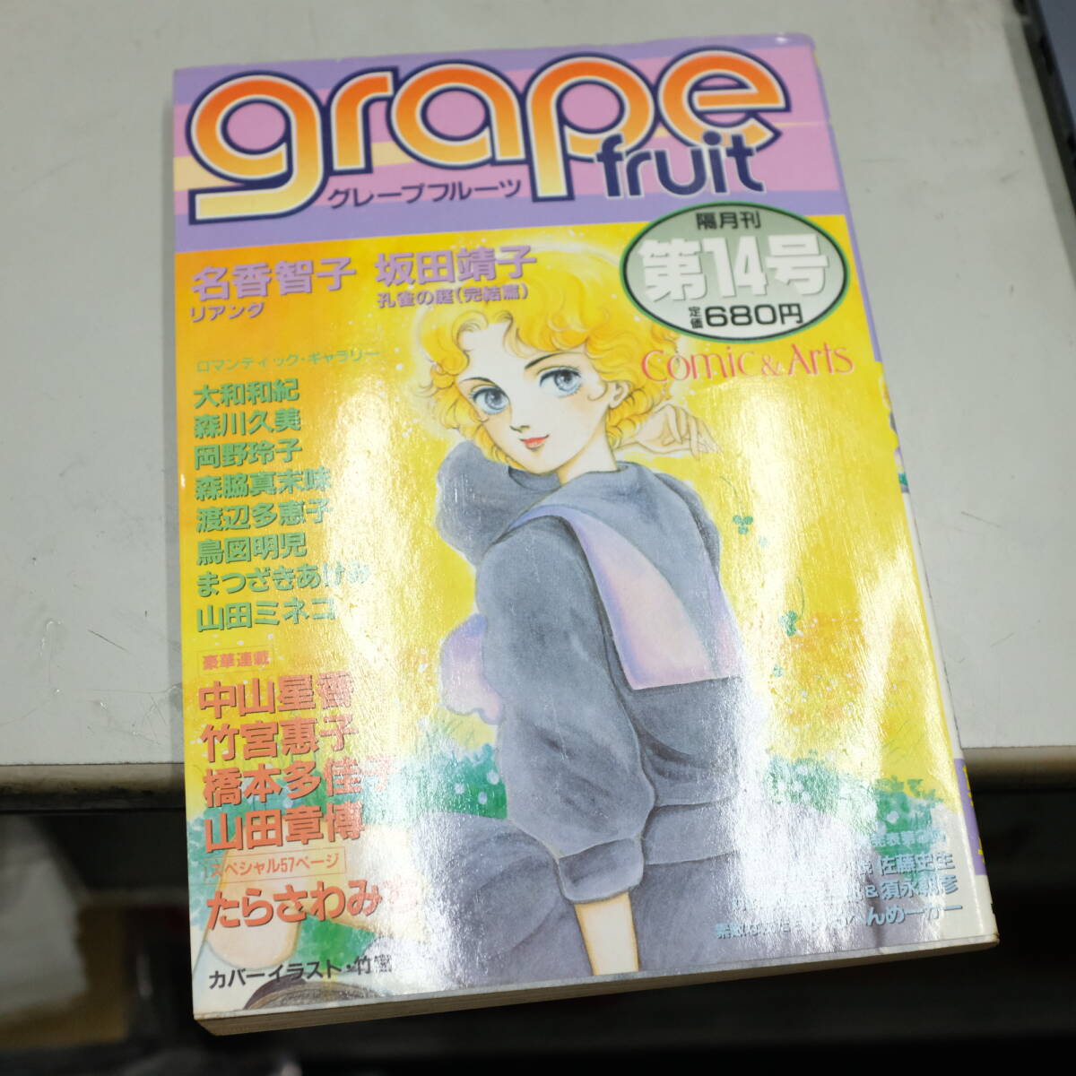grape fruit グレープフルーツ 14/1984●リアンダ 名香智子/孔雀の庭(完結篇) 坂田靖子/たらさわみち/竹宮惠子/中山星香/山田章博