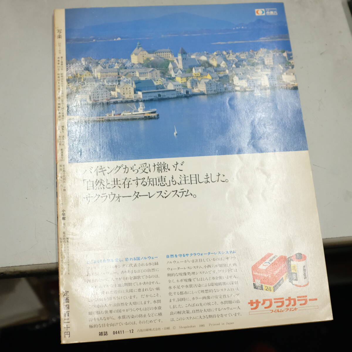 写楽 1981年12月号 伊藤つかさ/表紙 田中美佐子/ヌード ポスター