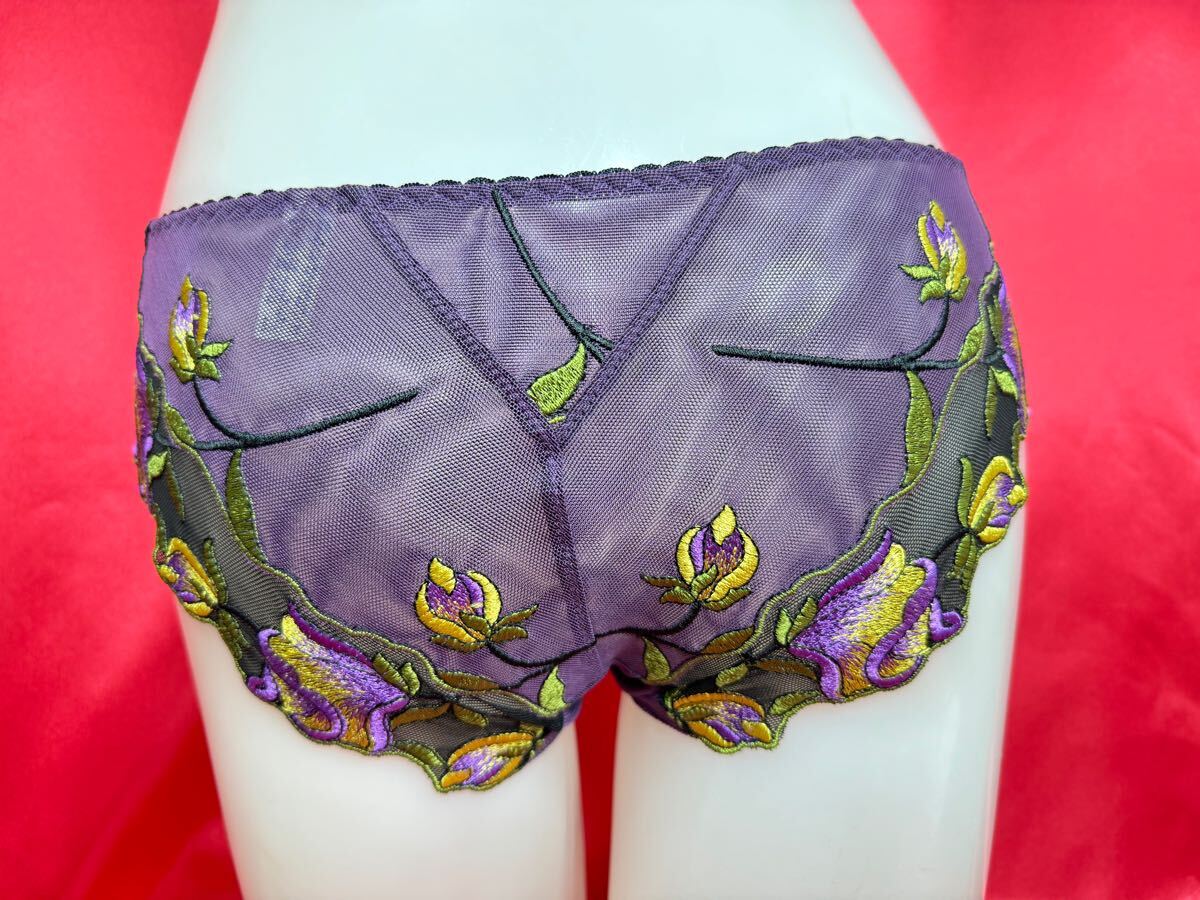 ワコール　スタディオファイブ　サンクフォル　7080 エピキュリアン　ショーツM BL IP7081