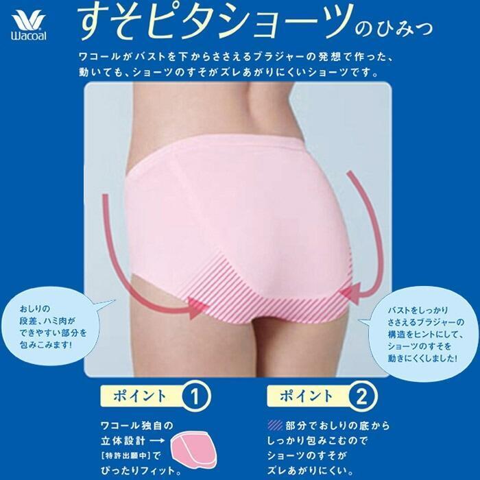 【ワコール】すそピタショーツ のびのびフィット 　L　ふつう　 新品