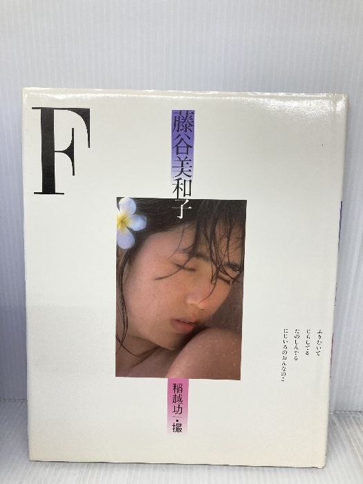藤谷美和子写真集 (1982年)