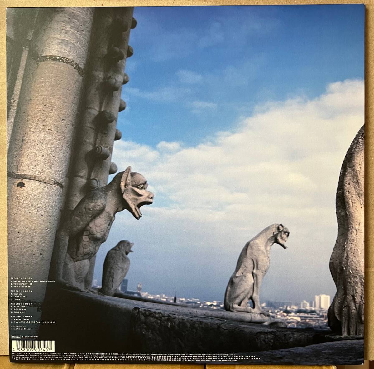 美品　L'Arc〜en〜Ciel　REAL　2枚組カラーレコード L'Arc～en～Ciel - L'Arc～en～Ciel/REAL レコード！の通販 by