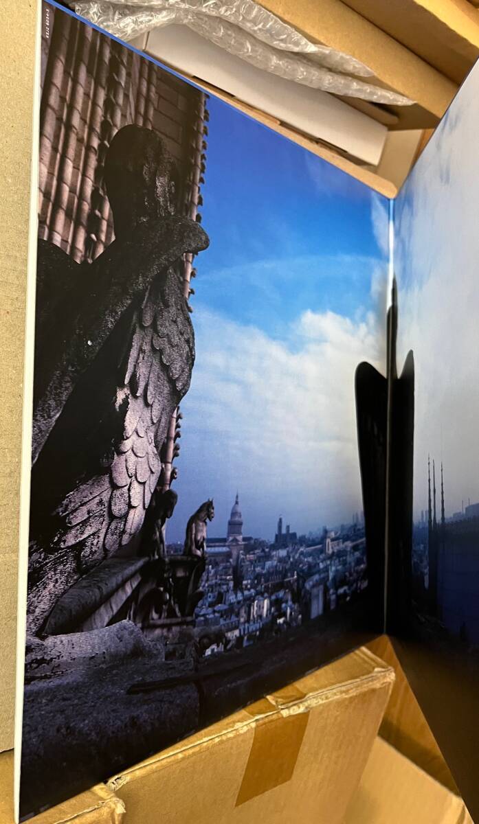 Yahoo!オークション - L'Arc~en~Ciel Real 2 LP パープルカラー
