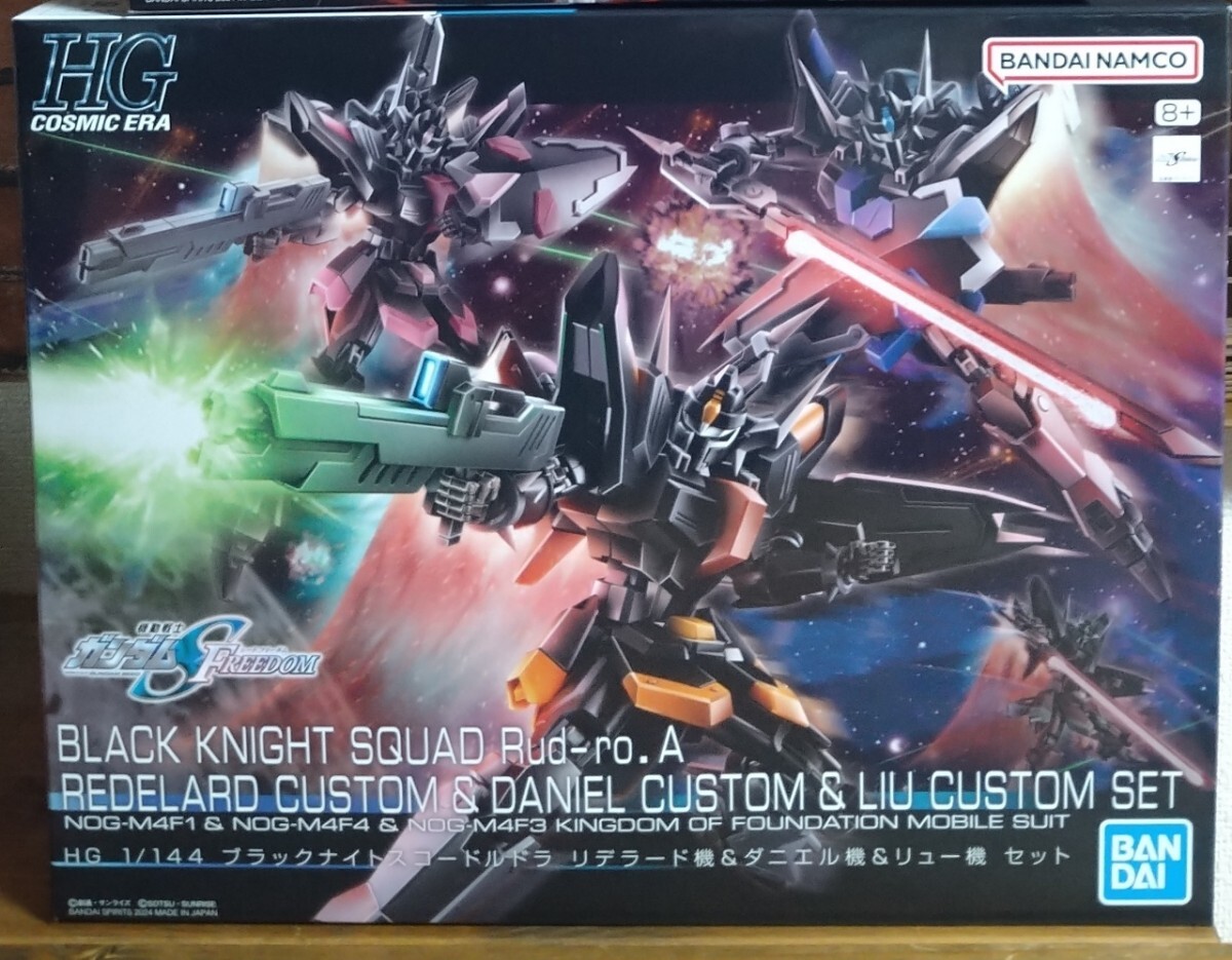 ＨＧ 未組立　ブラックナイトスコード　リデラード機　ダニエル機　リュー機　3体セット　 SEED Destiny