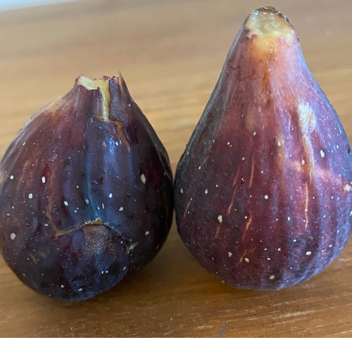 Yahoo!オークション - Beer's Black Fig ビアーズブラック Yahoo!オークション - Beer's Black Fig ビアーズブラック