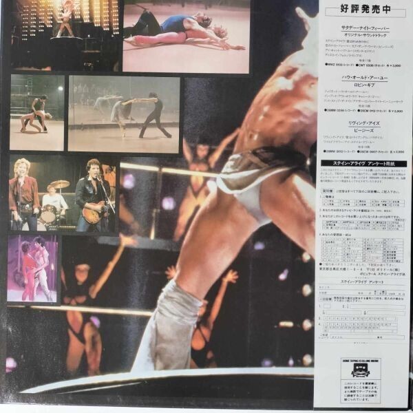 43260★美盤(pán) Bee Gees / STAYING ALIVE ※帯付き