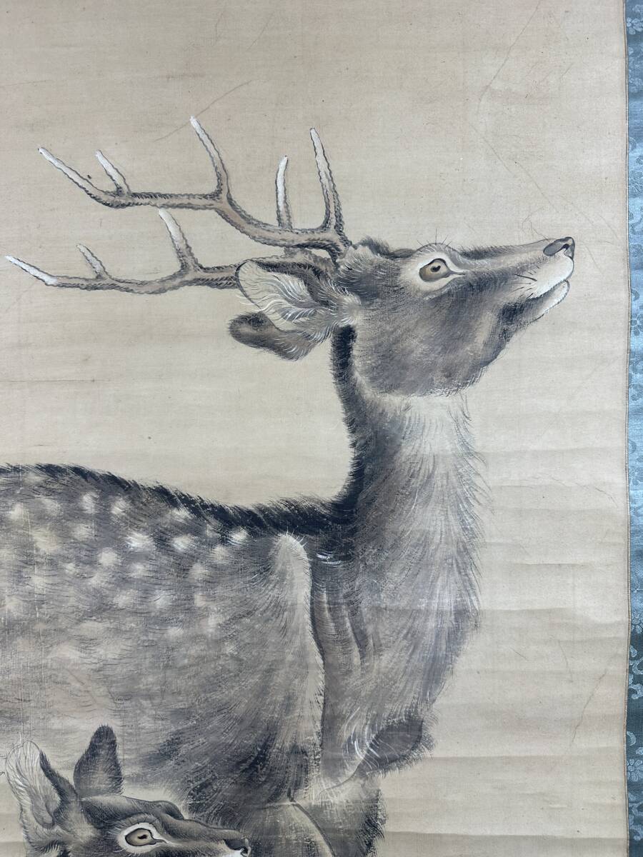模写】掛軸 【森一鳳】（双鹿） 紙本 中国画 日本/花鳥図/山水図