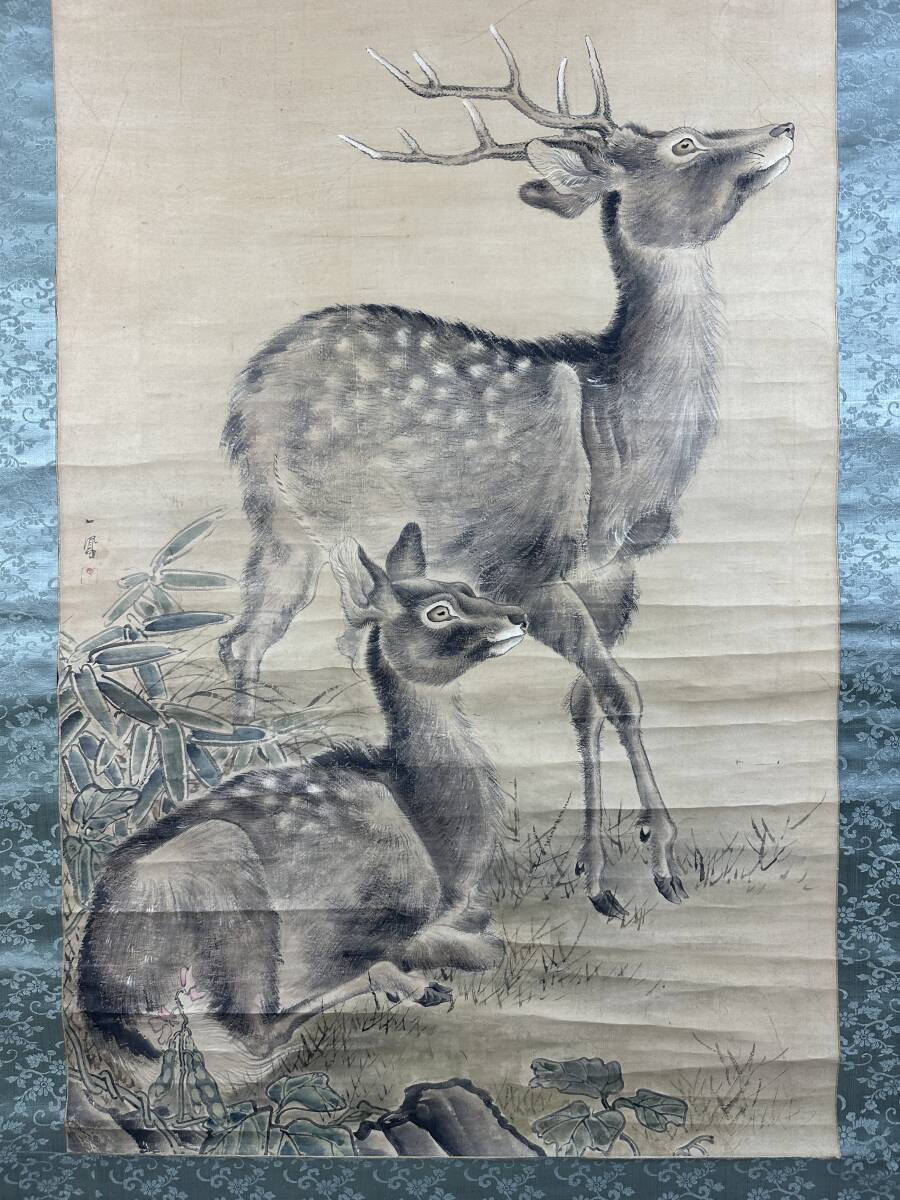 模写】掛軸 【森一鳳】（双鹿） 紙本 中国画 日本/花鳥図/山水図