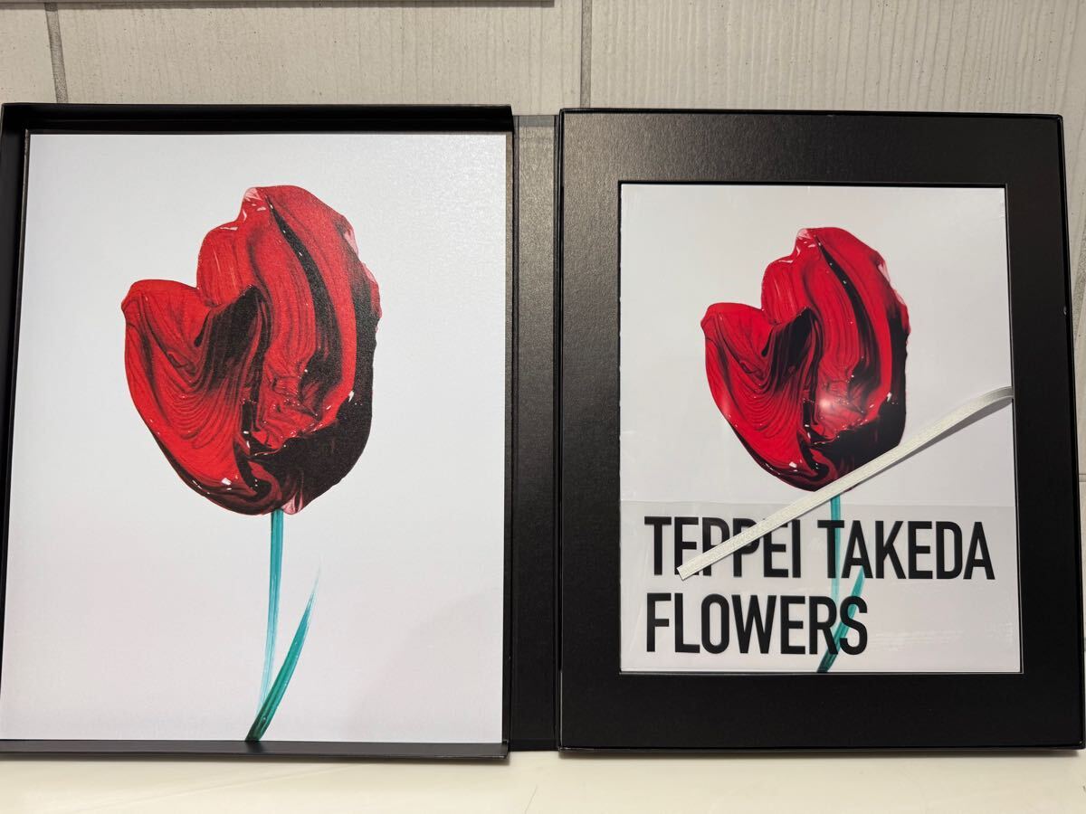 最安値TEPPEI TAKEDA FLOWERS 武田鉄平サイン入りED付 最安値TEPPEI TAKEDA FLOWERS 武田鉄平サイン入りED付
