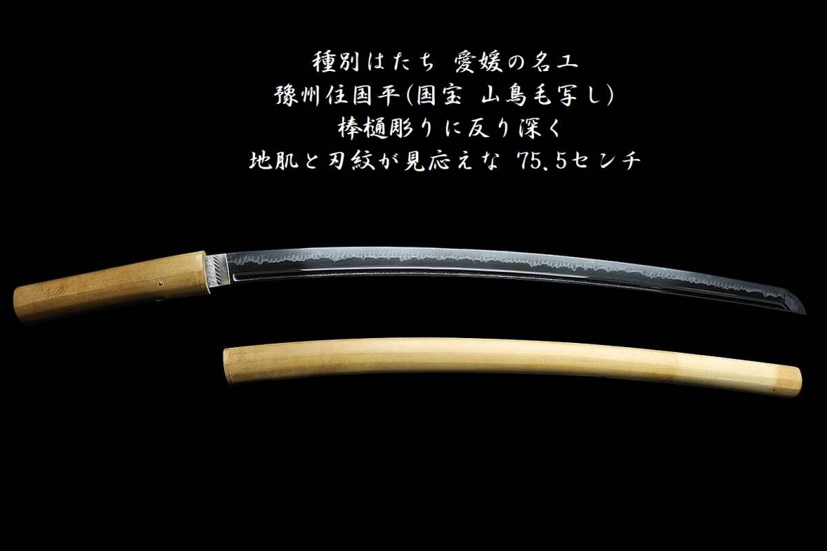種別はたち☆愛媛の名工☆豫州住國平(國寶 山鳥毛寫し)☆棒樋彫りに反り深く地肌と刃紋が見応えな75.5センチ