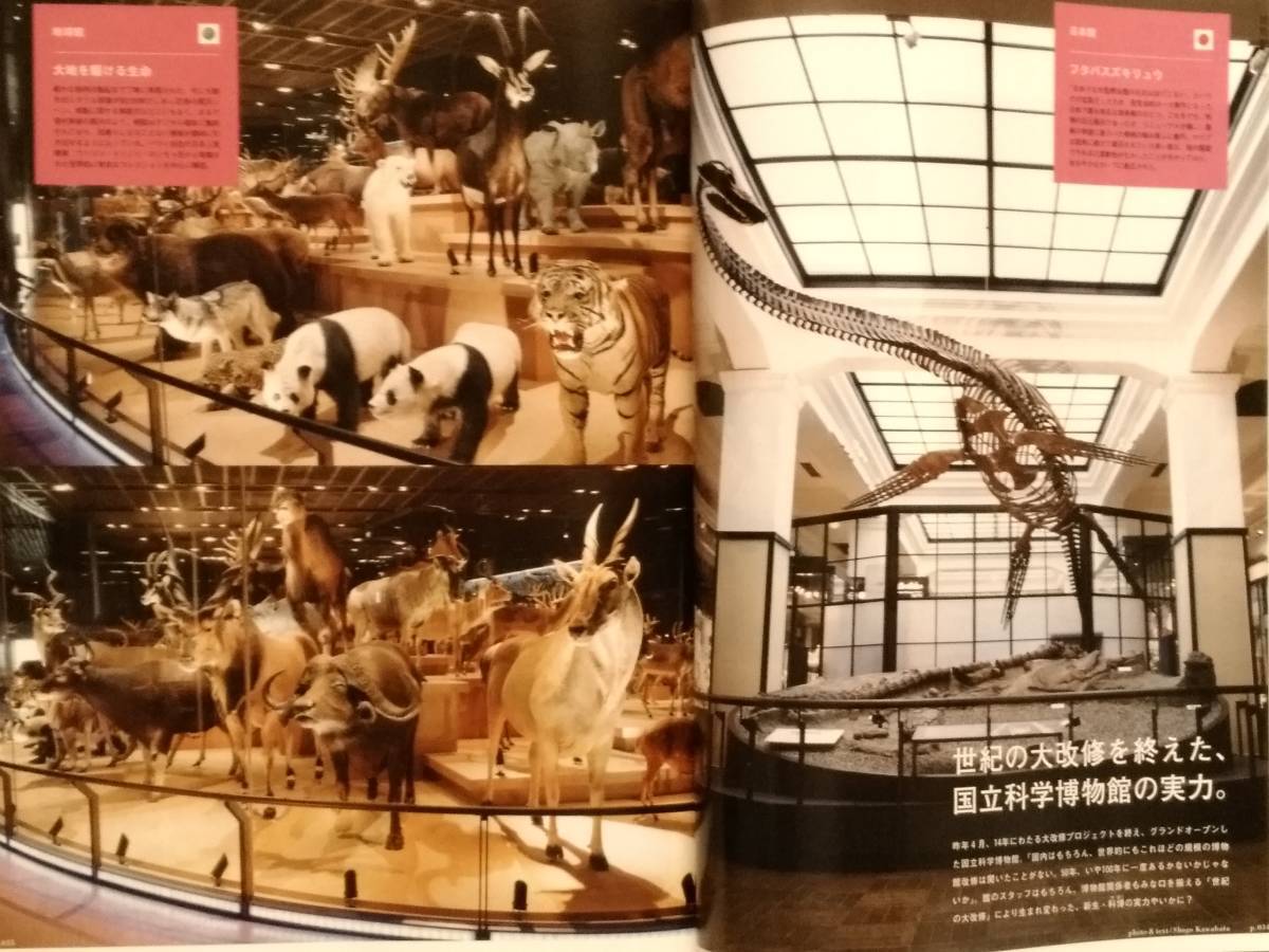 BRUTUS ブルータス 博物館ラブ 2008.8.1 マガジンハウス