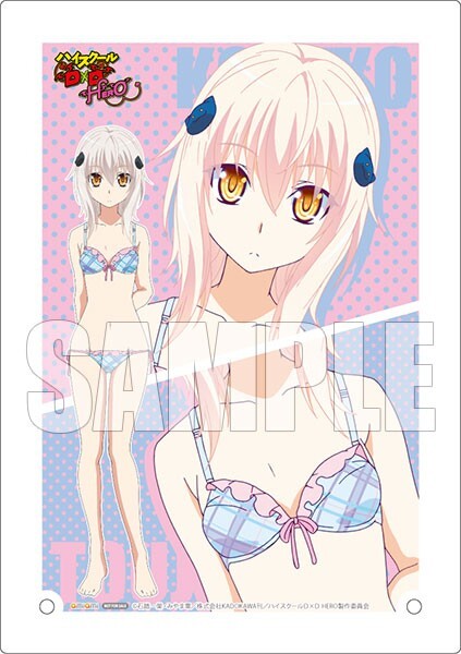 ハイスクールD×D HERO 塔城小猫 ランジェリーVer. フィギュア あみあみ 限定 特典 アクリル スタンド 未開封新品 ベルファイン ボード