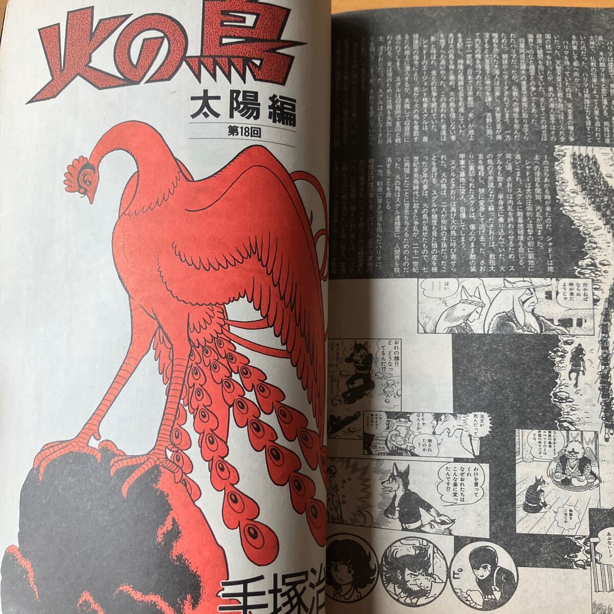 Amazon.co.jp: おとこの詩 : わたせ せいぞう: 本