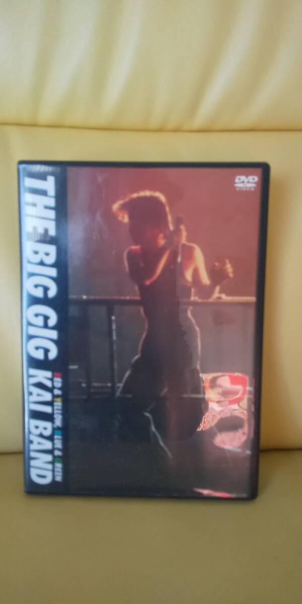 The Big Gig/甲斐バンド(DVD)