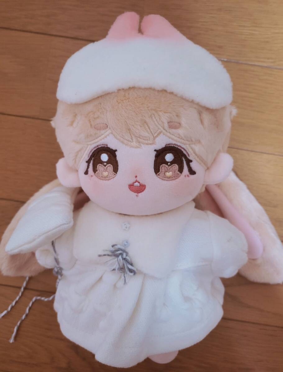 BTS テテ グク 着せ替えぬいぐるみ 20cm|クリアファイル BTS テテ グク 着せ替えぬいぐるみ 20cm|クリアファイル