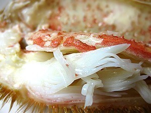 毛蟹 800g×5尾(4kg箱) 北海道 毛がに5尾セット北海道産巨大毛蟹)(冷凍毛ガニ)蟹味噌が最高のカニ(ジャンボ毛蟹)(送料無料)