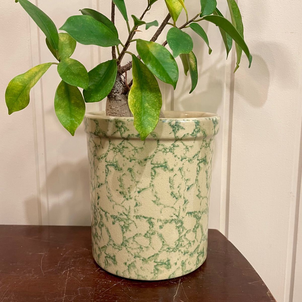 【vintage】鉢 ポット 陶器 植物 RRP スポンジウェア アドバタイジング antique 店舗ディスプレイ us 古道具 アンティーク ヴィンテージ