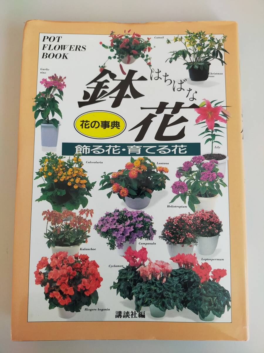鉢花 花の事典 飾る花・育てる花 講談社 鉢花の魅力と作例 花のプロフィールと扱い方 いけばなの楽しみ方　【即決】
