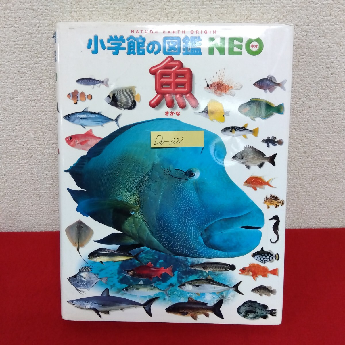 Db−102/小学館の図鑑 NEO(ネオ) 魚(さかな) 2007年12月25日初版第12 刷発行 魚の大きさくらべ 魚用語集/L10/61129