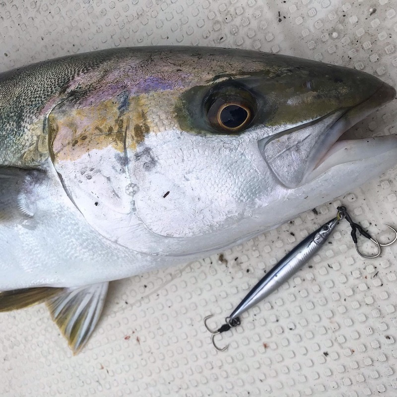  little Jack metal Addict модель 05-40g/#03ma иваси вертикальный тент shore jigging 
