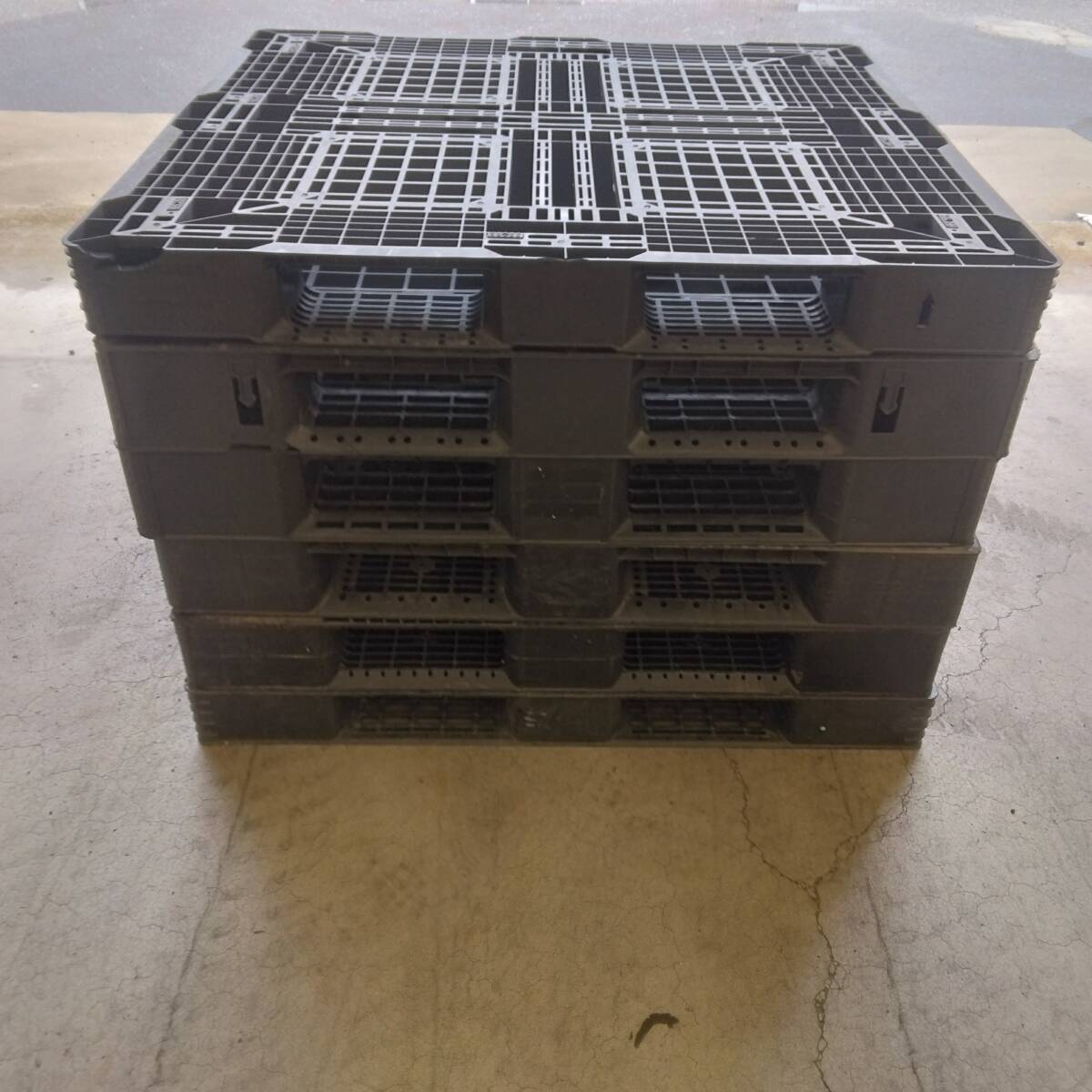 中古プラスチックパレット　1200×1100×120～150　6枚