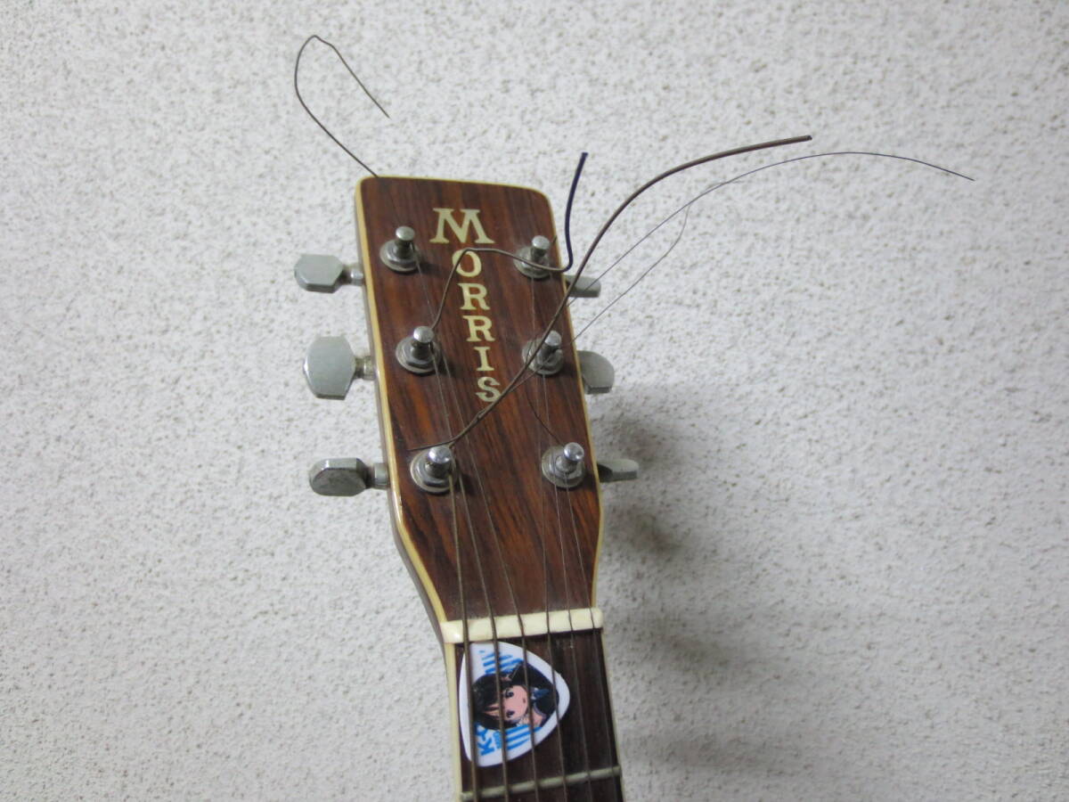 音出しOK Morris モーリス 縦ロゴ W-35 ピックアップ追加