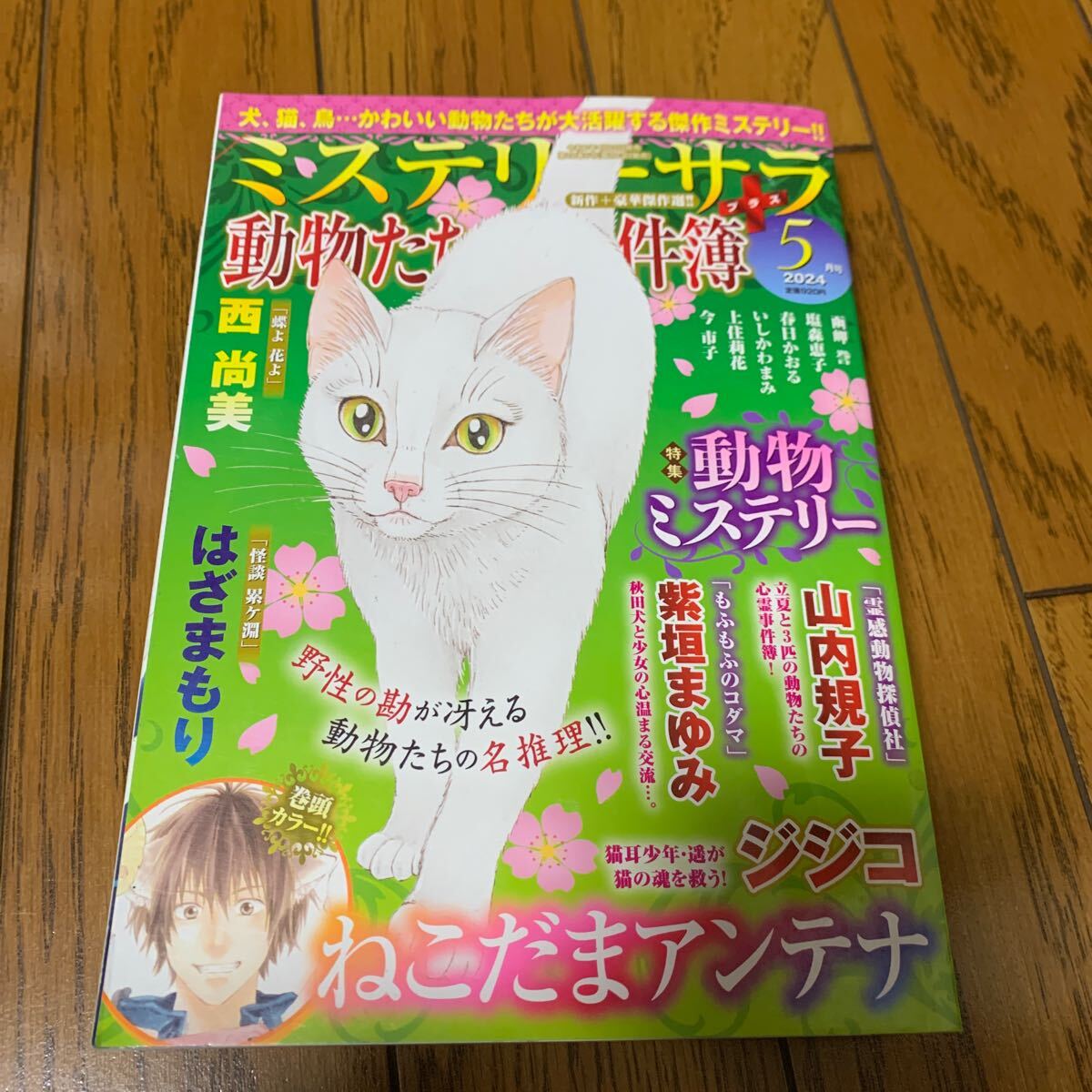 MYSTERYsara (ミステリーサラ) 2024年 5月号/ミステリーサラ (MYSTERYsara) 編集部 〔雑誌〕_画像1