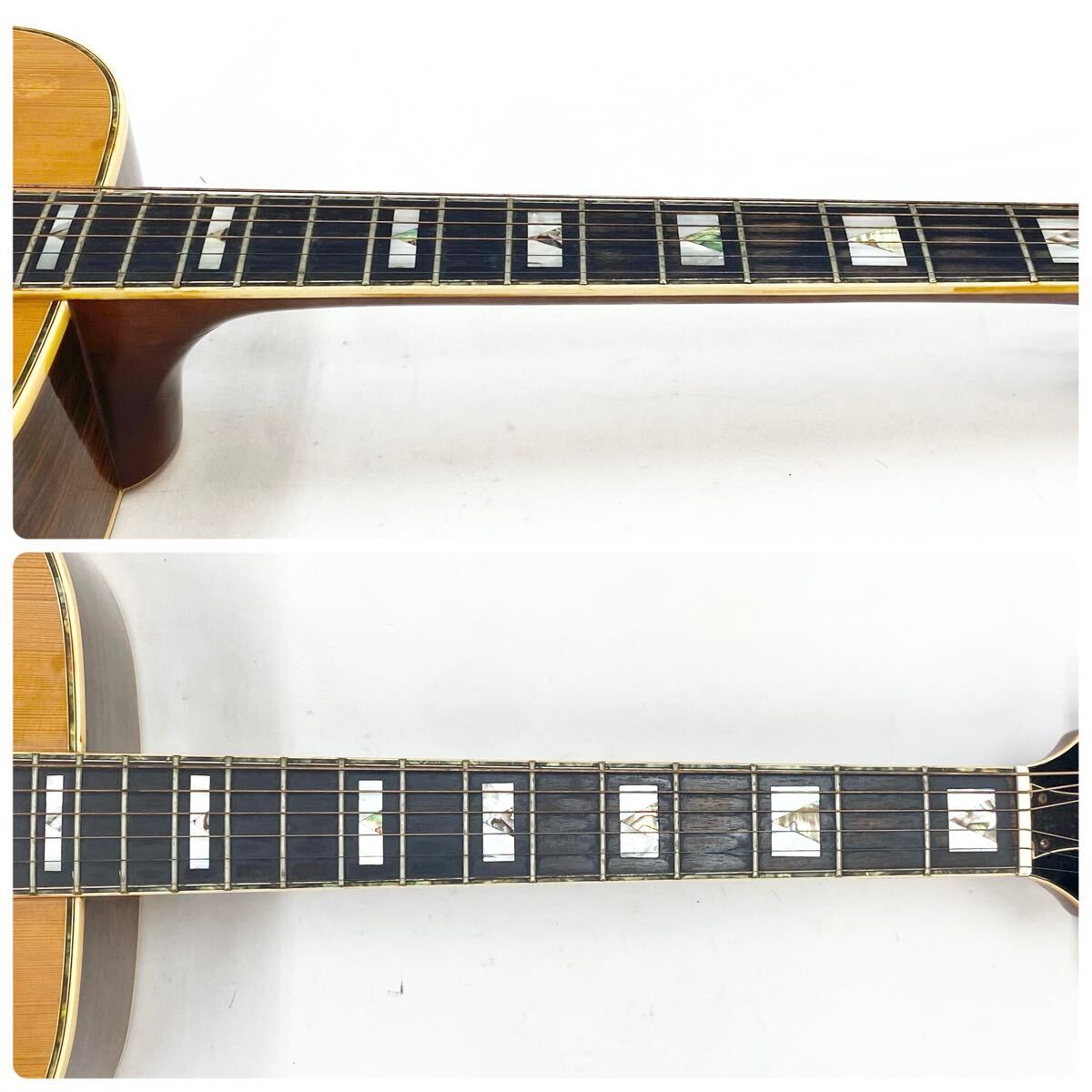 ギター Tomson TG-300 Tomson TG-300   '70s2.jpg