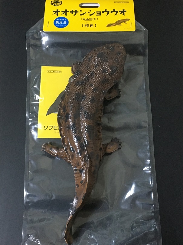 最終値下げ☆ソフビトイボックス オオサンショウウオ(暗色)限定版 ソフビトイボックス 010 オオサンショウウオ暗色 海洋堂限定