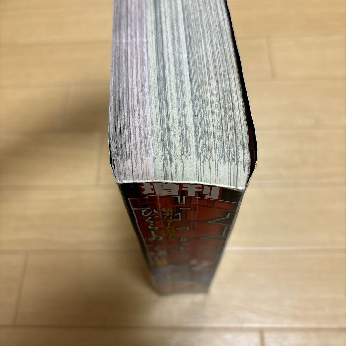少年ガンガン　増刊パワード 2006年 冬季號 付録欠品