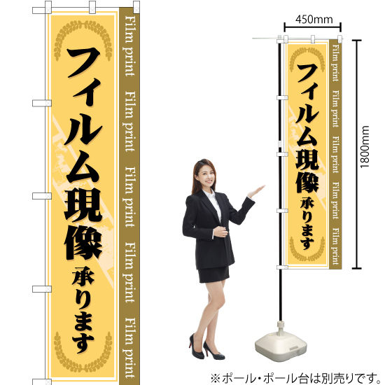 のぼり旗 3枚セット フィルム現像承ります YNS-0523 ［スマートサイズ］_画像2
