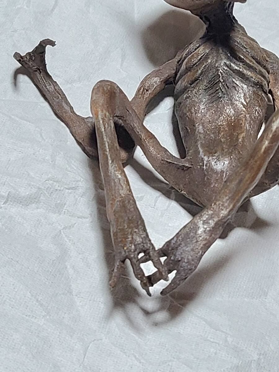 一点物 妖怪 烏天狗 ミイラ 下級天狗 UMA リアル 芸術作品 怪奇 一点物 妖怪 烏天狗 ミイラ 下級天狗 UMA リアル 芸術作品 怪奇