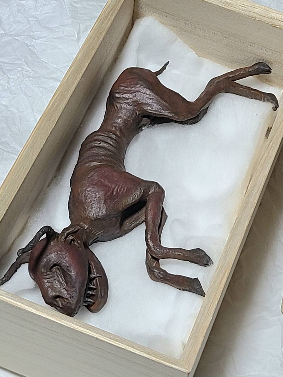 一点物 妖怪 妖獣鬼鹿 ミイラ 桐箱入り UMA 芸術作品 怪奇標本 一点物 妖怪 妖獣鬼鹿 ミイラ 桐箱入り UMA 芸術作品 怪奇標本