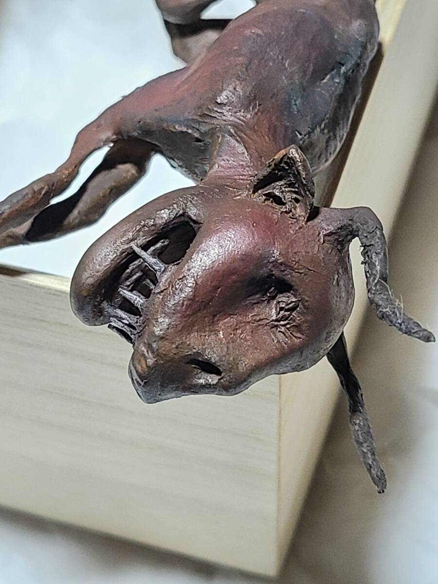 一点物 妖怪 妖獣鬼鹿 ミイラ 桐箱入り UMA 芸術作品 怪奇標本 一点物 妖怪 妖獣鬼鹿 ミイラ 桐箱入り UMA 芸術作品 怪奇標本