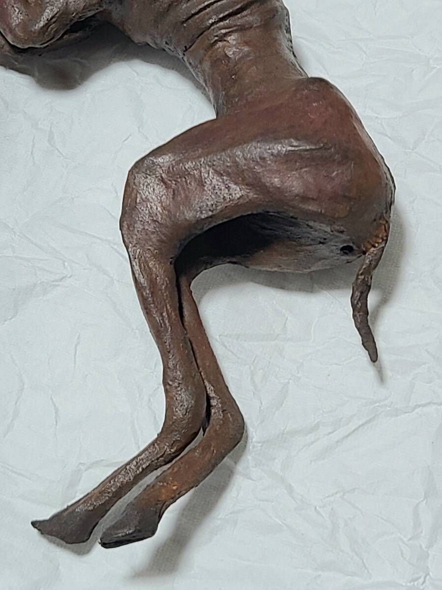 一点物 妖怪 妖獣鬼鹿 ミイラ 桐箱入り UMA 芸術作品 怪奇標本 一点物 妖怪 妖獣鬼鹿 ミイラ 桐箱入り UMA 芸術作品 怪奇標本