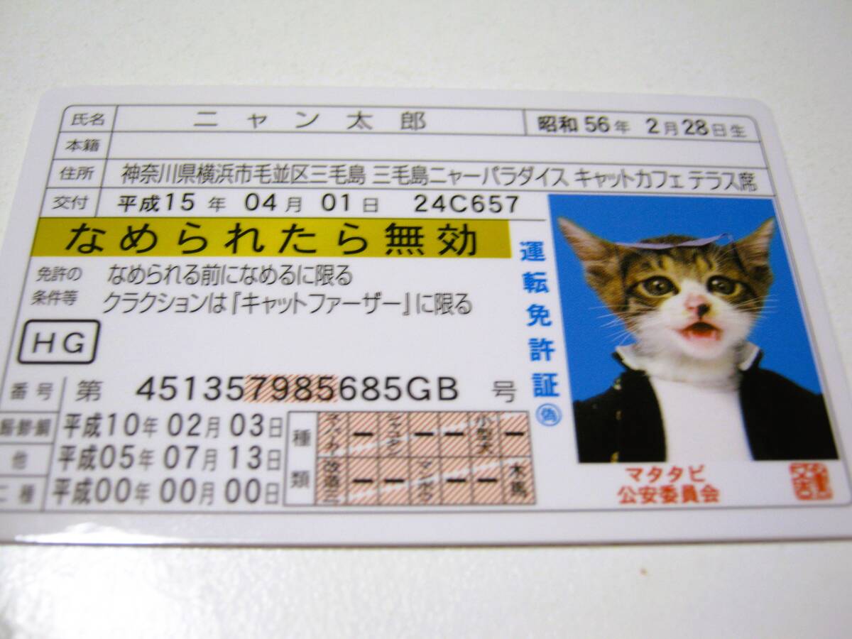 なめ猫 免許証風 ブロマイド ニャン太郎】なめんなよ猫 なめねこ なめ猫 免許証風 ブロマイド ニャン太郎】なめんなよ猫 なめねこ
