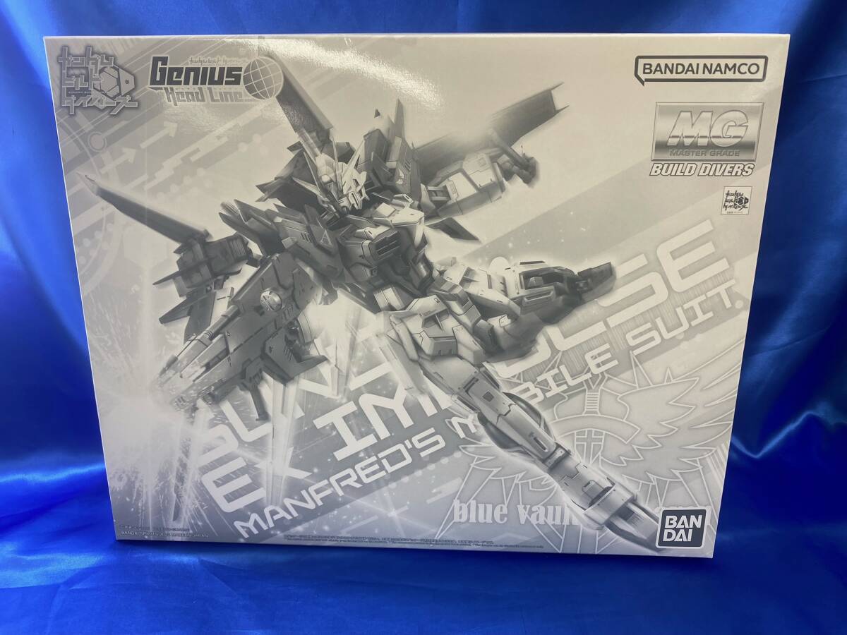 未開封品　1/100 MG ガンダムエクスインパルス 「ガンダムビルドダイバーズ Genius Head Line」 プレミアムバンダイ限定　中古