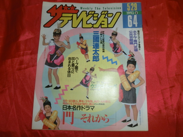 ザテレビジョン 1993年5月29日號(hào)