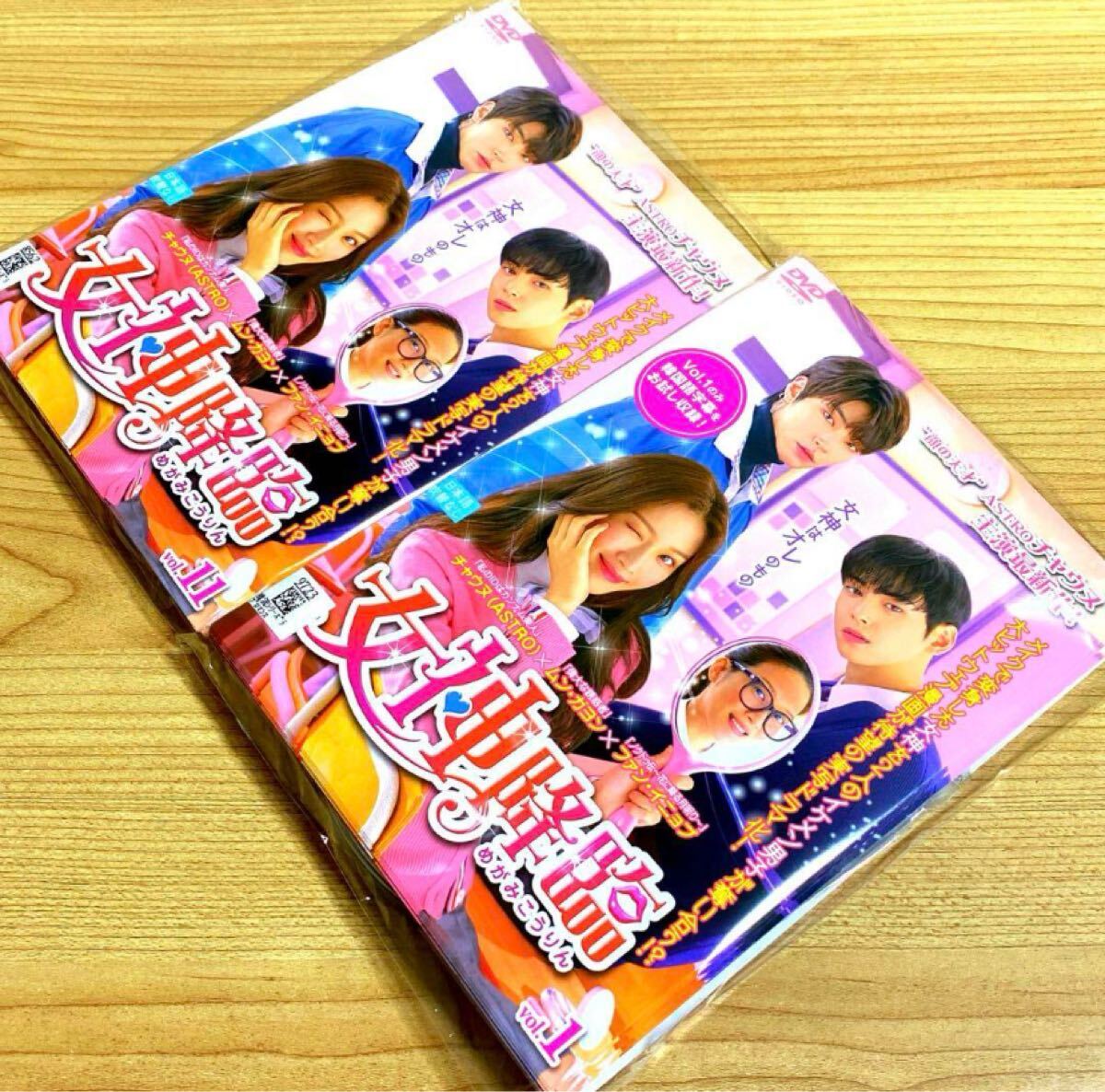 女神降臨 DVD レンタル落ち 15巻セット チャウヌ 非全巻 1巻抜け 女神降臨 DVD レンタル落ち 15巻セット チャウヌ 非全巻 1巻抜け