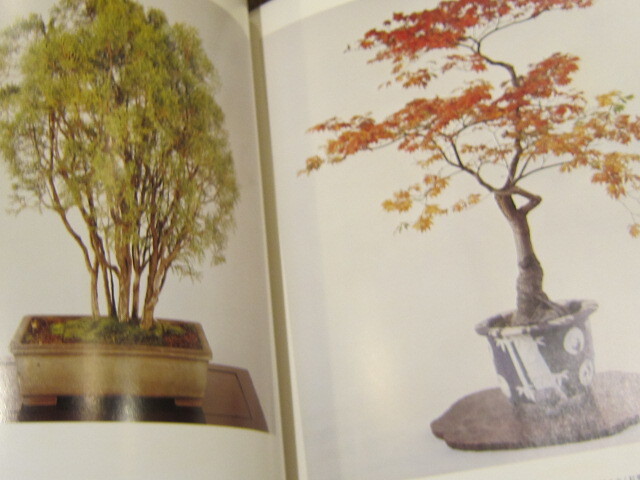 皇居の盆栽 日本盆栽協会 大塚巧芸社 刊行年 1976 皇居の盆栽 日本盆栽協会 大塚巧芸社 刊行年 1976