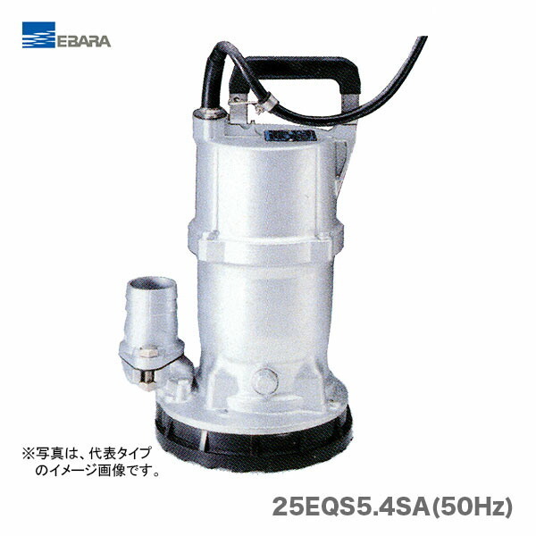 〈エバラ〉残水用水中ポンプ　25EQS5.4SA(50Hz)