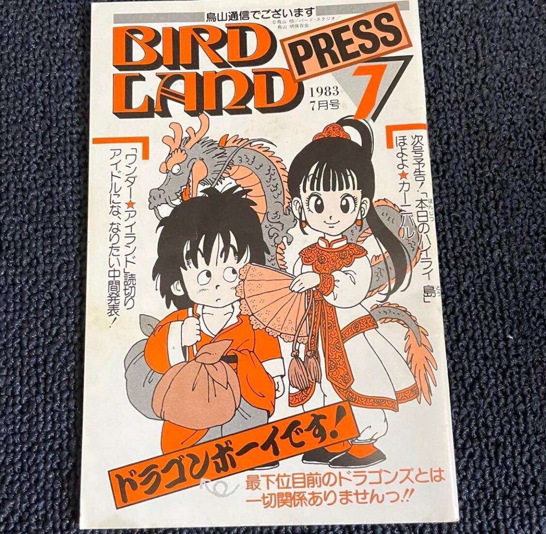 鳥山明 THE WORLD~ドラゴンボールZ・PINK・剣之介さま - 少年漫画 鳥山明 THE WORLD~ドラゴンボールZ・PINK・剣之介さま - 少年漫画