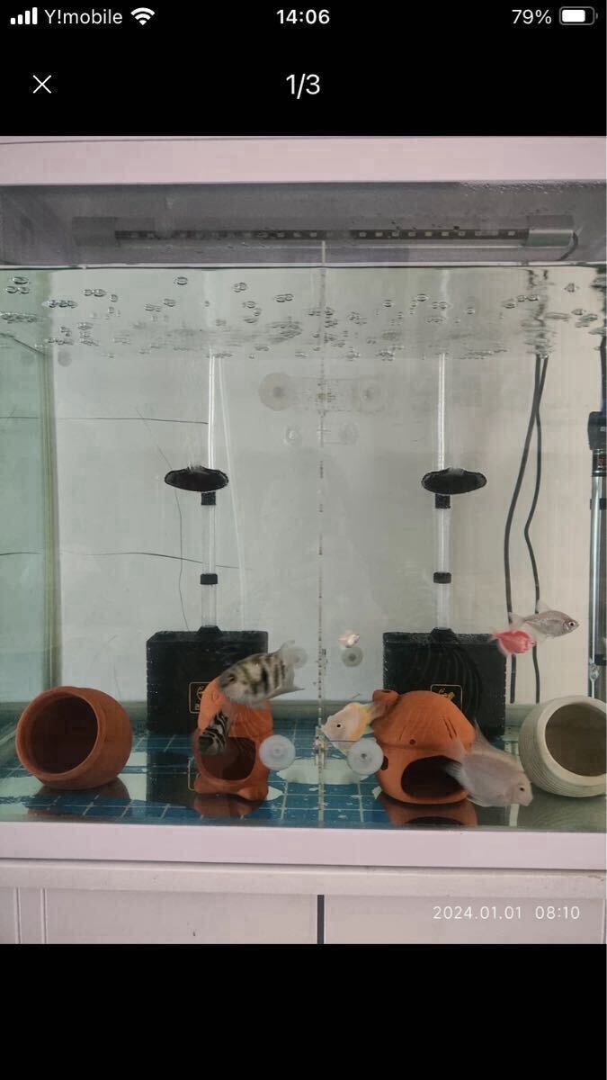 吸盤付き 水草 水槽用観賞魚アクアリウムフィルター 設置簡単フィルターSD01水槽スポンジフィルター 物理濾過生物濾過スポンジ フィルター