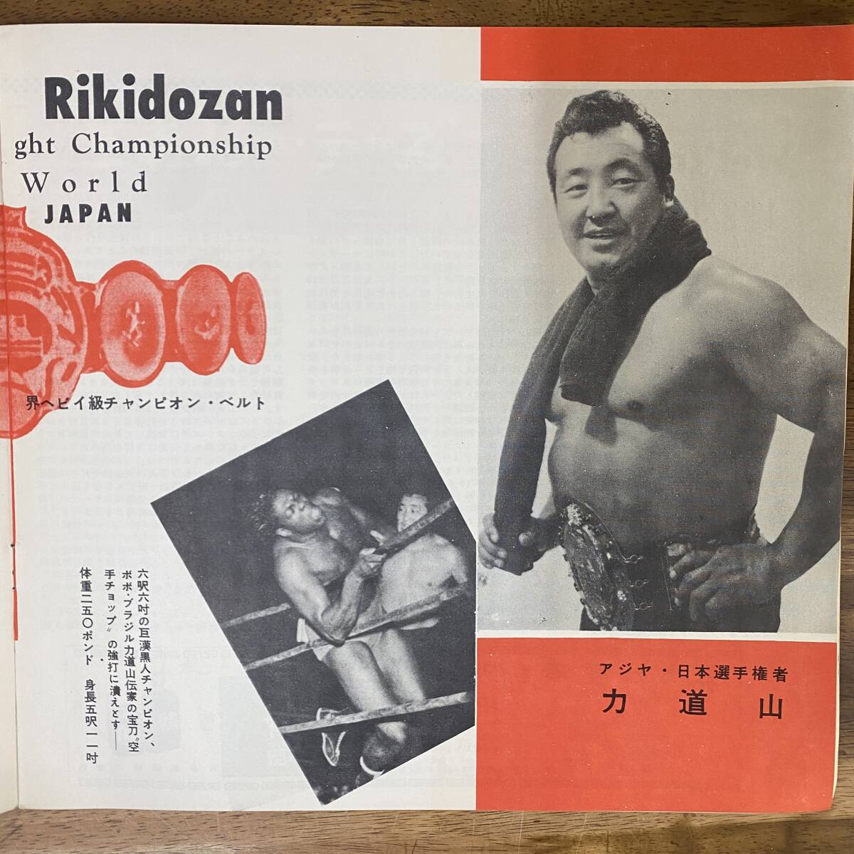 チケット半券付き! プロレス パンフレット【世界選手権大試合 チケット半券付き! プロレス パンフレット【世界選手権大試合