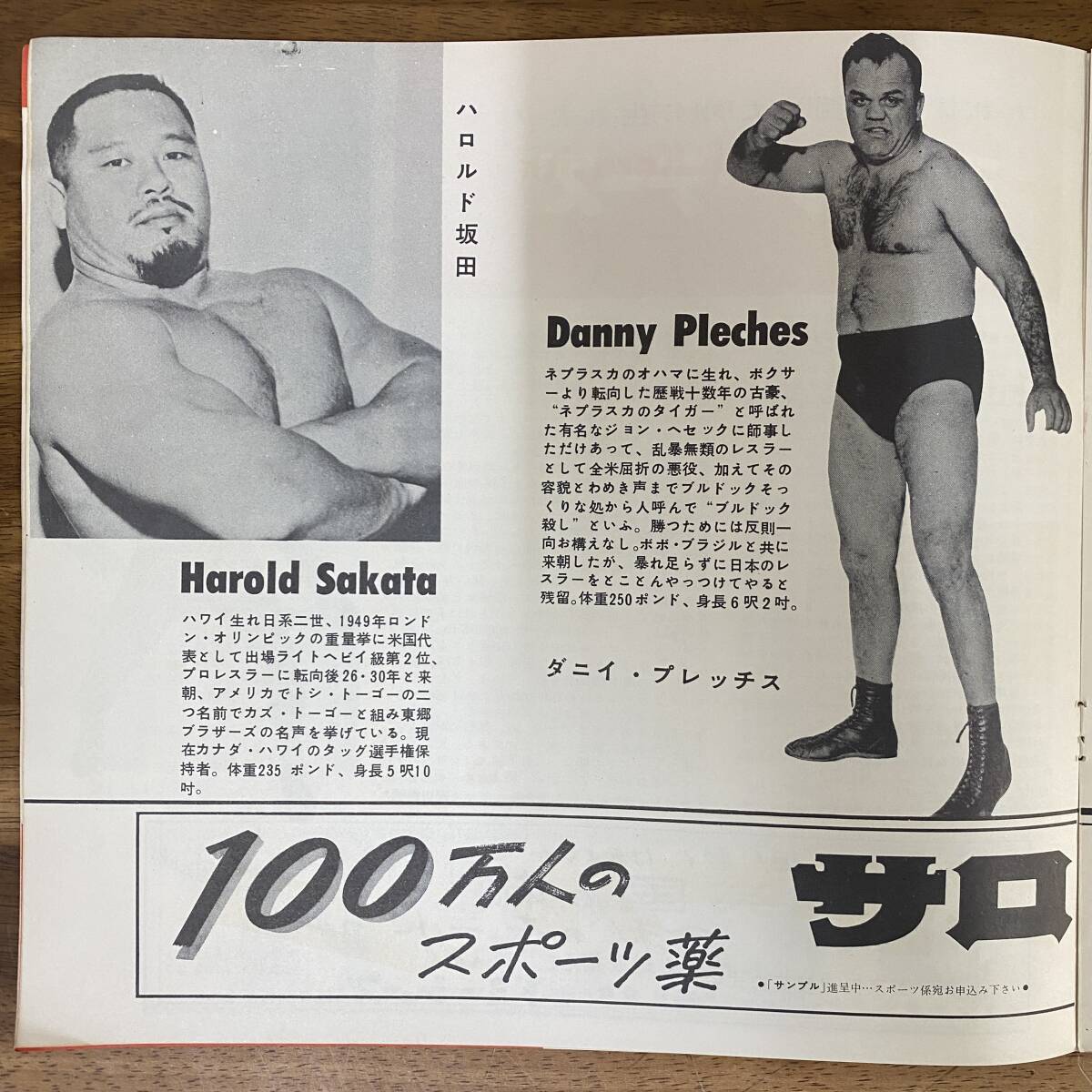 チケット半券付き! プロレス パンフレット【世界選手権大試合 チケット半券付き! プロレス パンフレット【世界選手権大試合