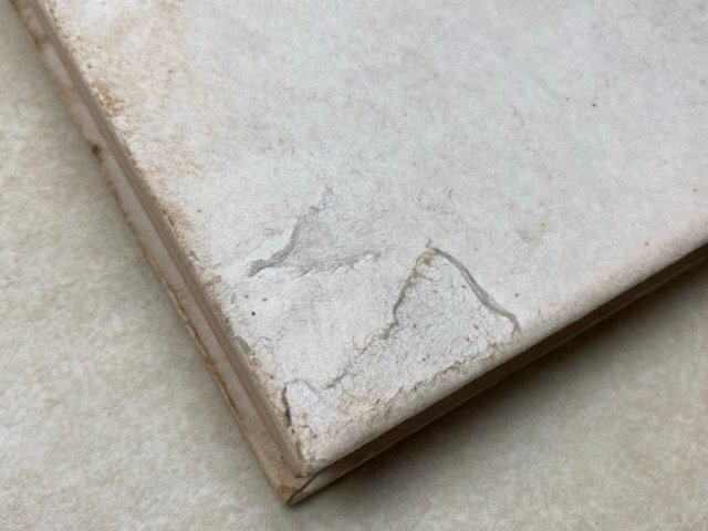 厚物咲 中山義秀 昭和13年初版 函なし裸本 芥川賞 YAI281_画像2