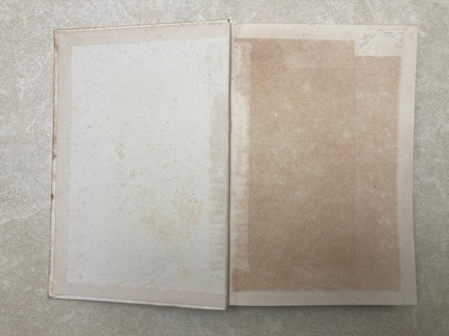 厚物咲 中山義秀 昭和13年初版 函なし裸本 芥川賞 YAI281_画像4