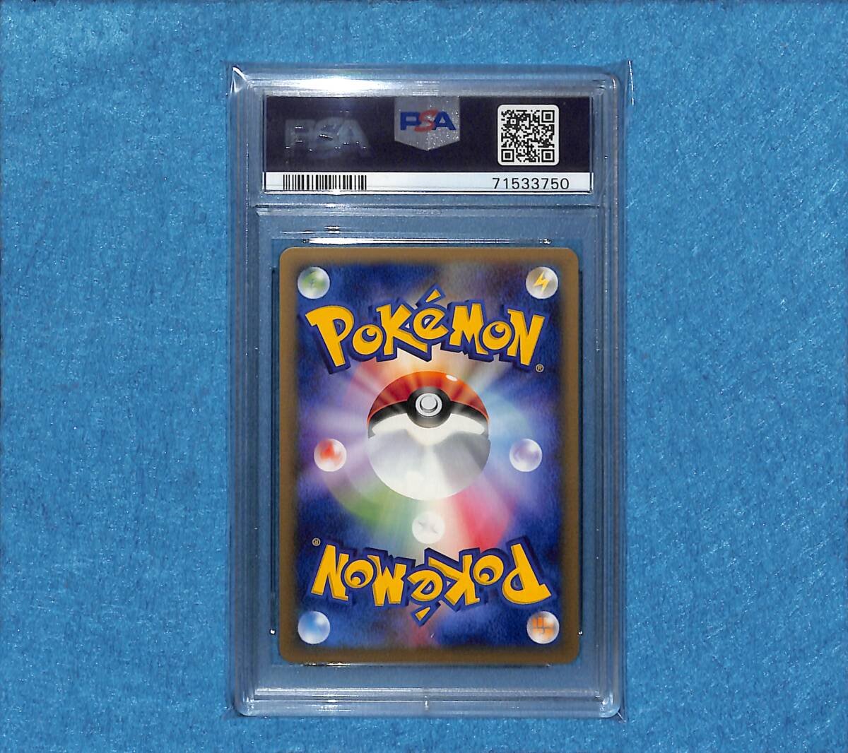 PSA10 GEM MINT】わるいフシギソウ WEB e vs ポケモンカード